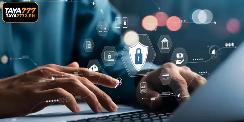 Main Rules Outlined in the Privacy Policy