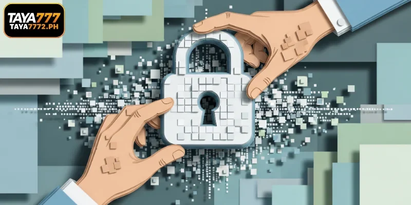 Platform Duties and the Privacy Policy Guard