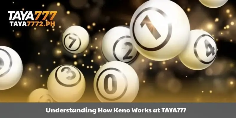 Learn how to play Keno at TAYA777
